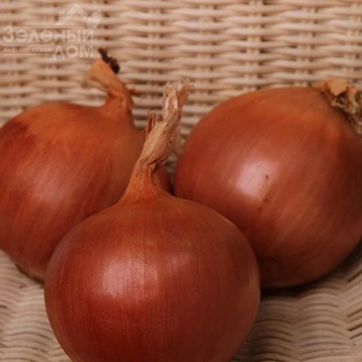 Флагман F1 / Flagman F1, 105-115 дней фото 1