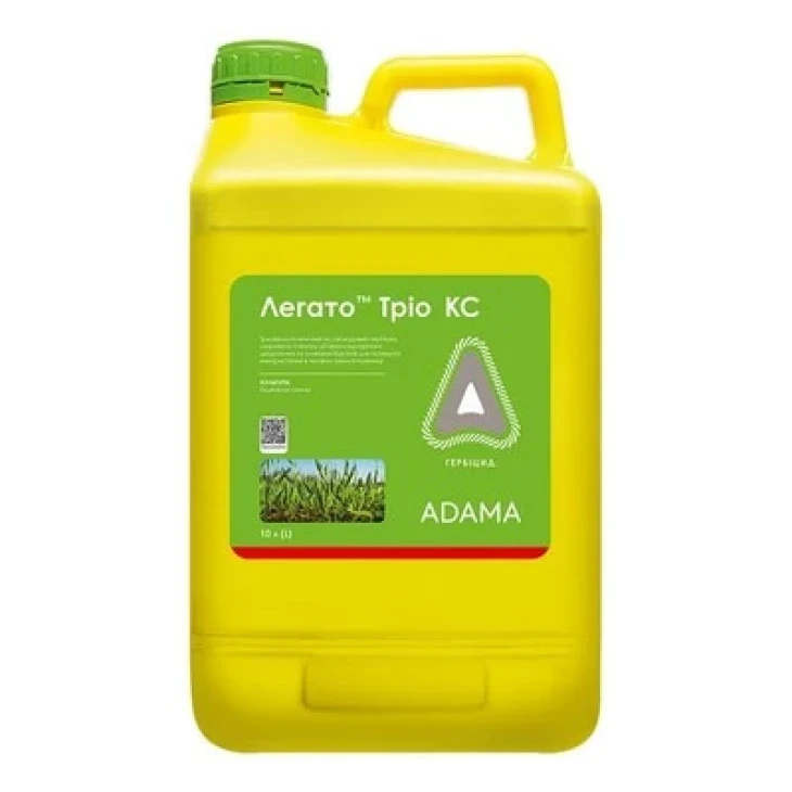 Легато Трио, КС / Legato Trio, KS фото 1