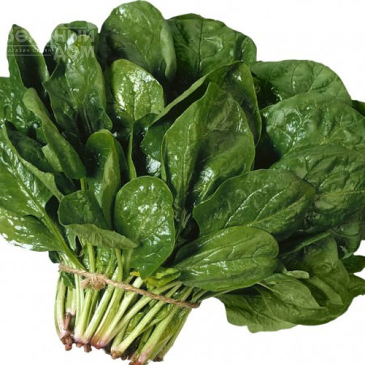 Лагос / Lagos,40-45 днів фото 1