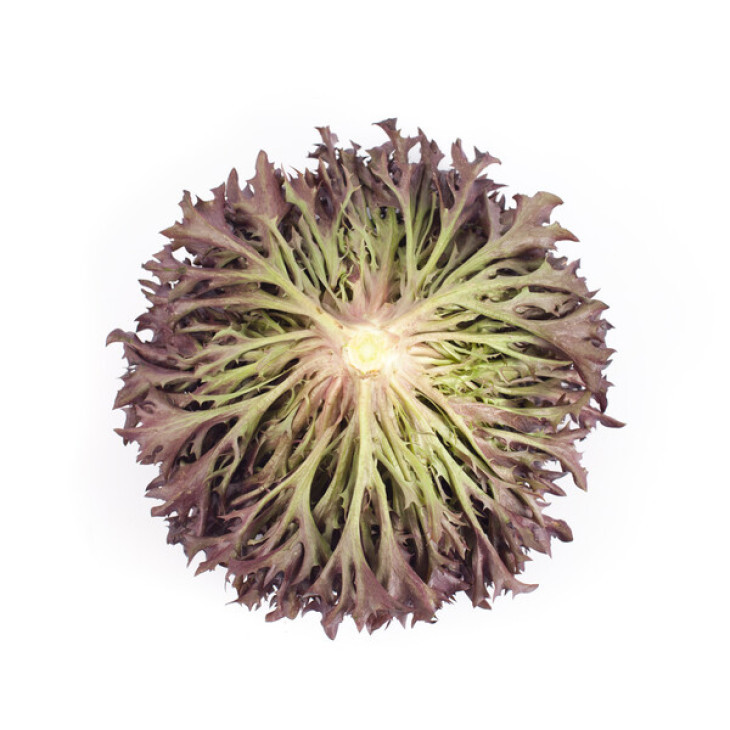 Триплекс / Triplex фото 3