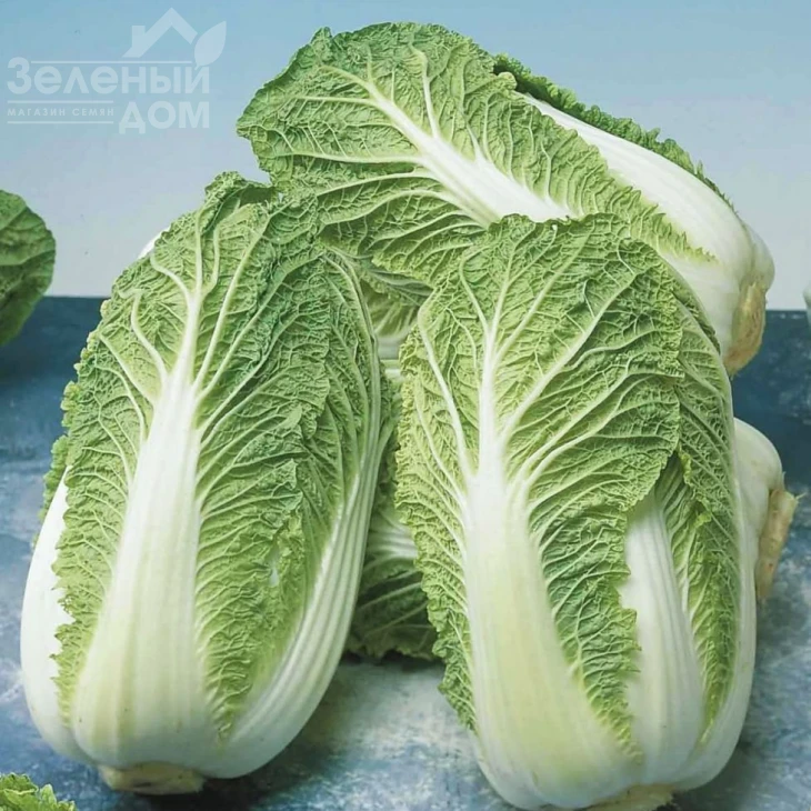 Маноко F1 / Manoko F1,45-48 дней фото 1