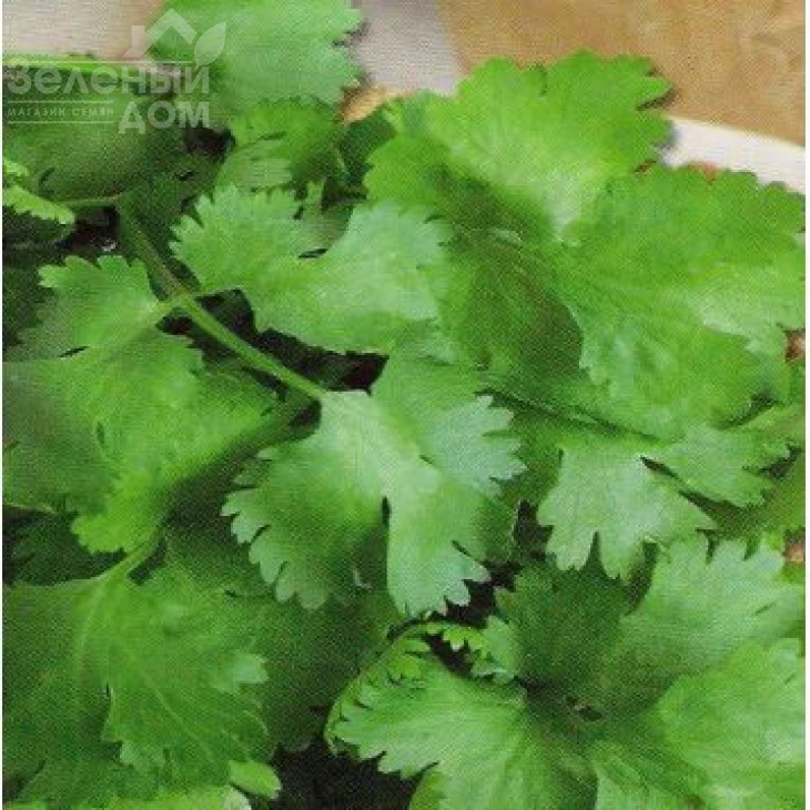 Американо / Americano фото 1