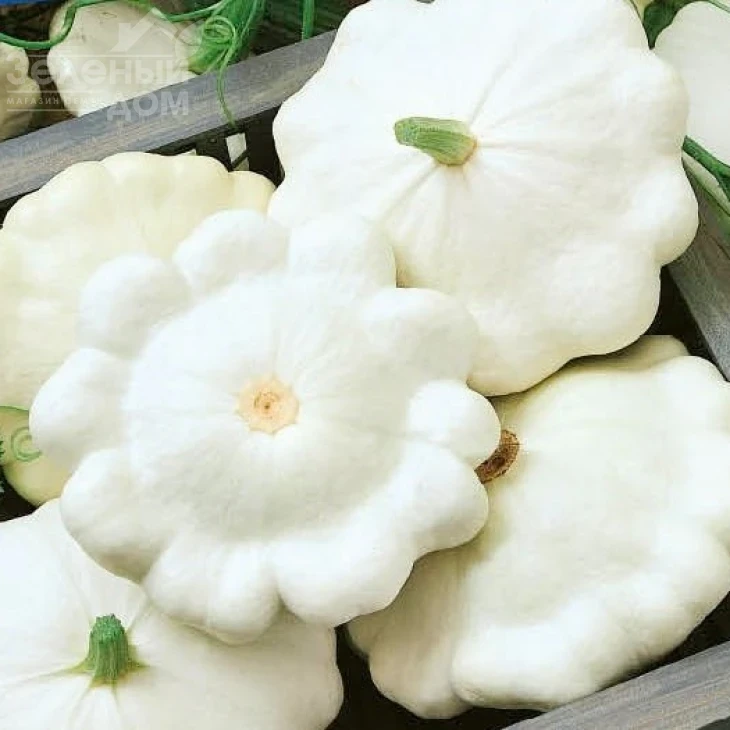 Деликатес / Delikates фото 1