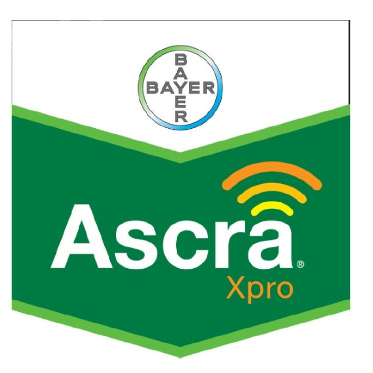 Аскра Хпро / Asсra Xpro фото 1