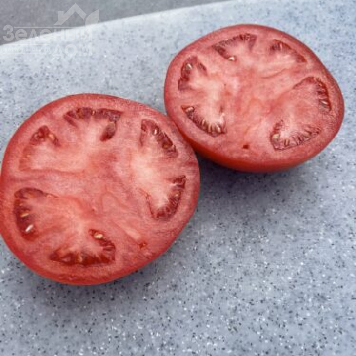 Стронг F1 / Strong F1, 115 днів фото 1