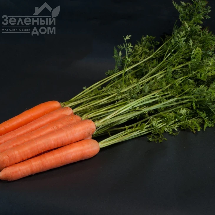 Санторин F1 / Santorin F1,120 дней фото 1