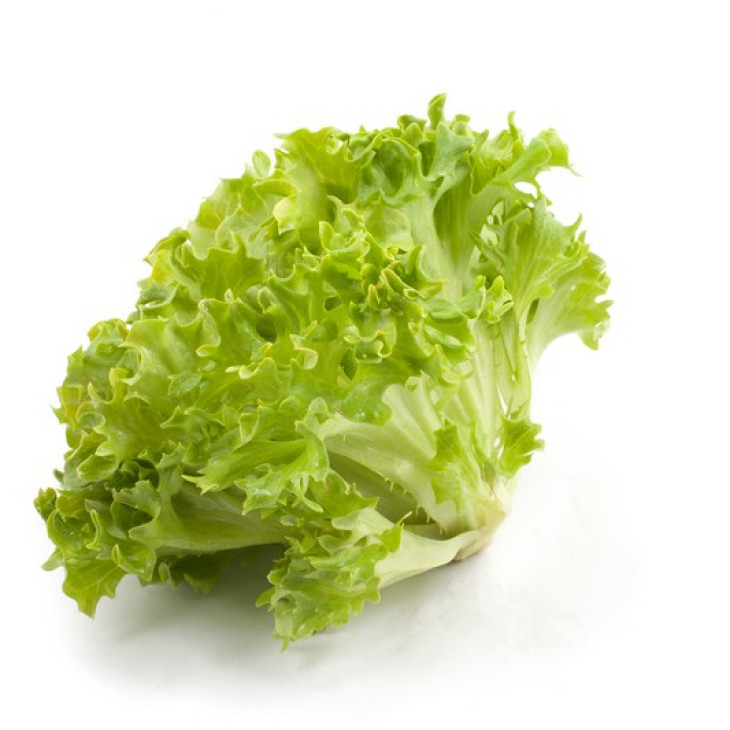 Експлор / Explore фото 1