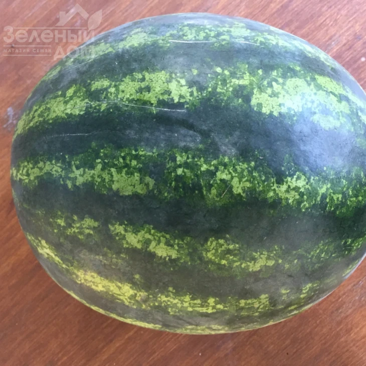 Бонта F1 / Bonta F1, 60-65 дней фото 2