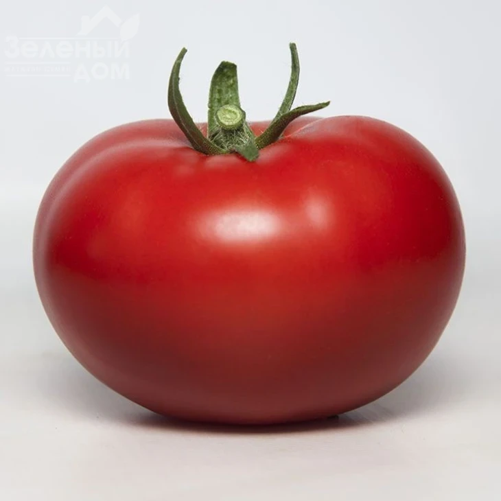 КС 301 F1 / KS 301 F1,105-115 дней фото 1