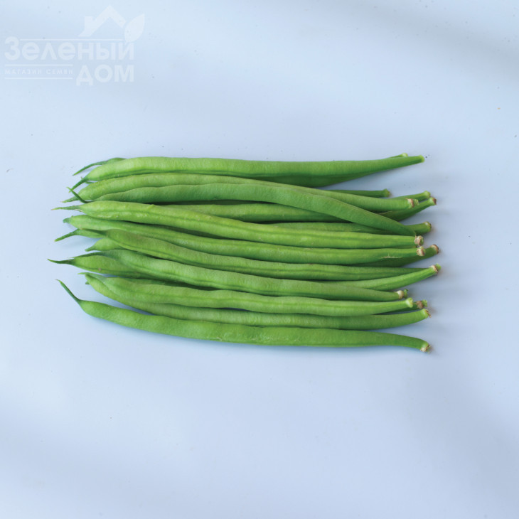 Вальферде / Valverde,70 днів фото 1