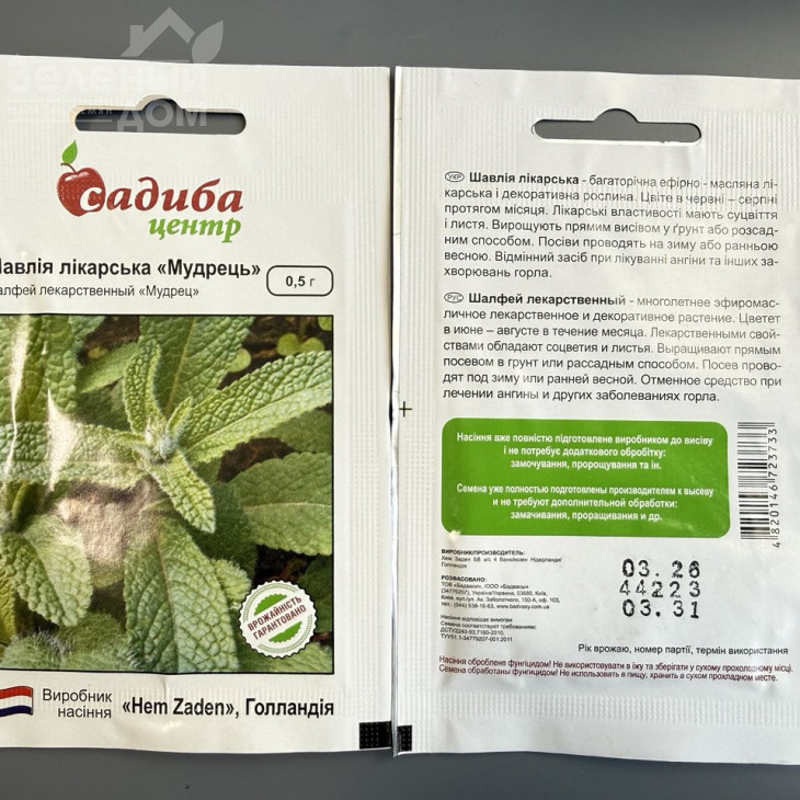 Шавлія лікарська Мудрець / Shavliya likarska Mudrets фото 1