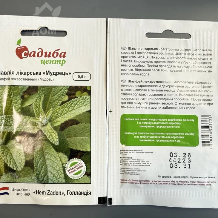 Шавлія лікарська Мудрець / Shavliya likarska Mudrets фото 1