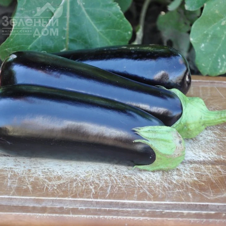 Анатолія F1 / Anatolia F1, 100-110 днів фото 2