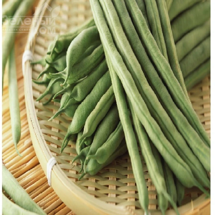 Пайк / Paik фото 1