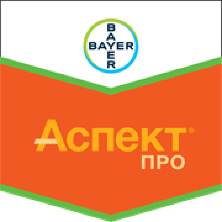 Аспект Про / Aspet Pro фото 1
