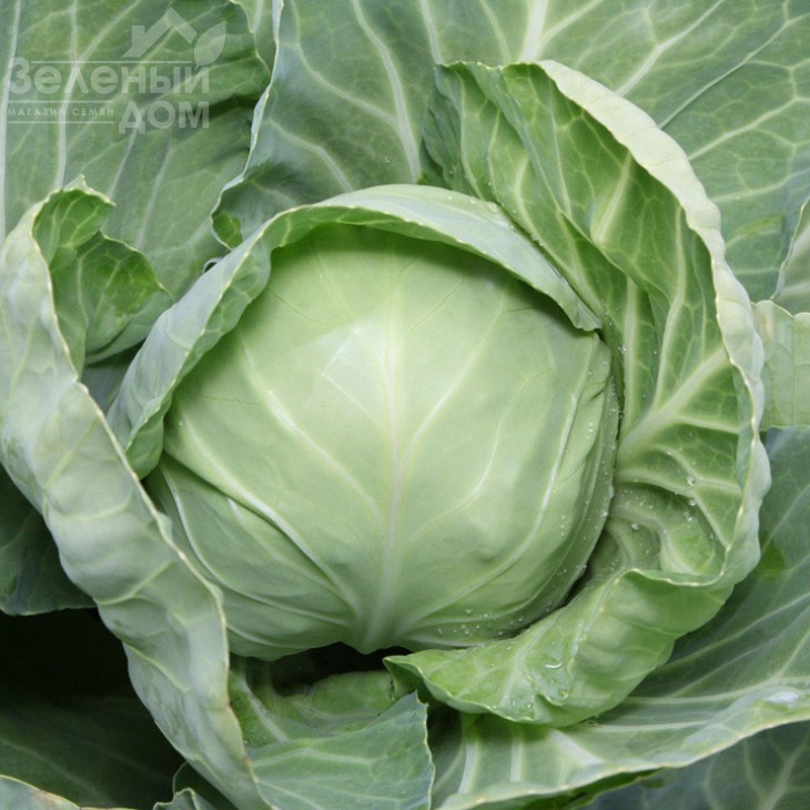 КС 1410 F1 / KS 1410 F1 фото 1