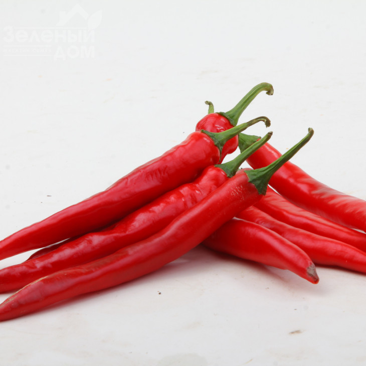 Кампече F1 / Kampeche F1,75-80 днів фото 2