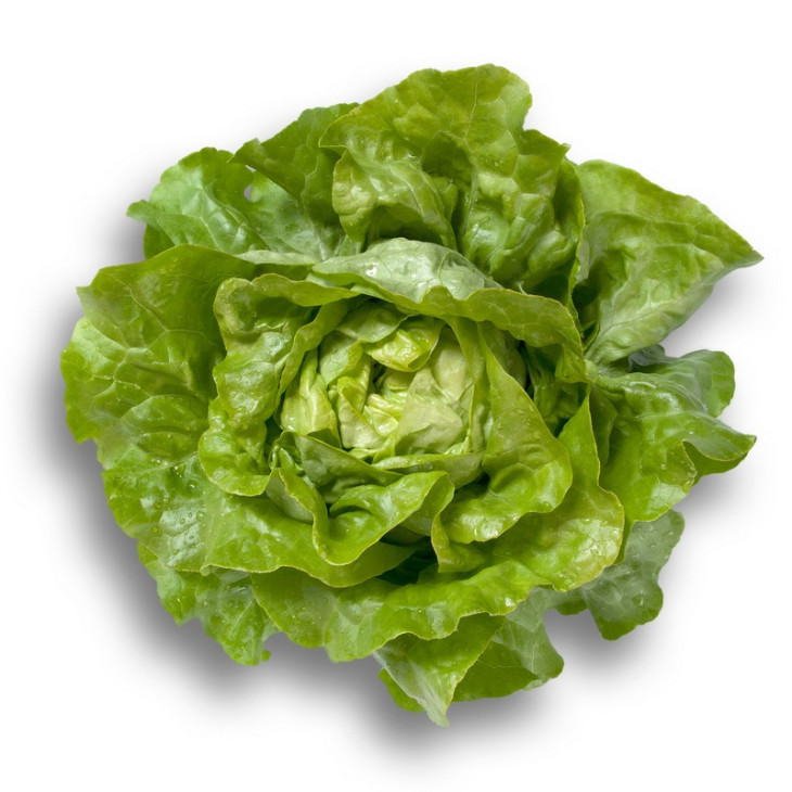 Джиска / Jiska фото 1