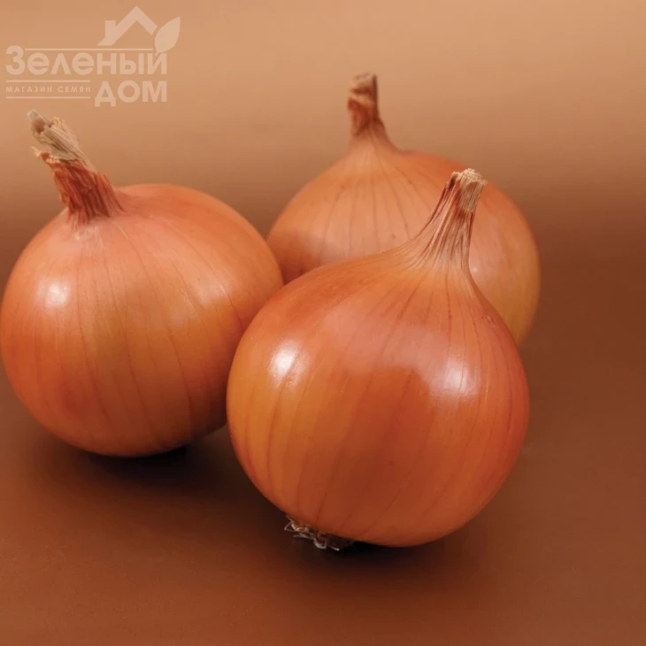 Братко F1 / Bratko F1,115-120 дней фото 1