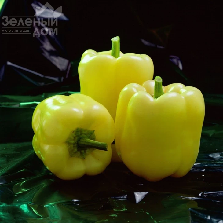 Мадонна F1 / Madonna F1,60-65 дней фото 1