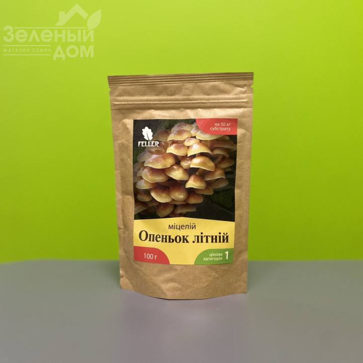 Опеньок літній фото 1