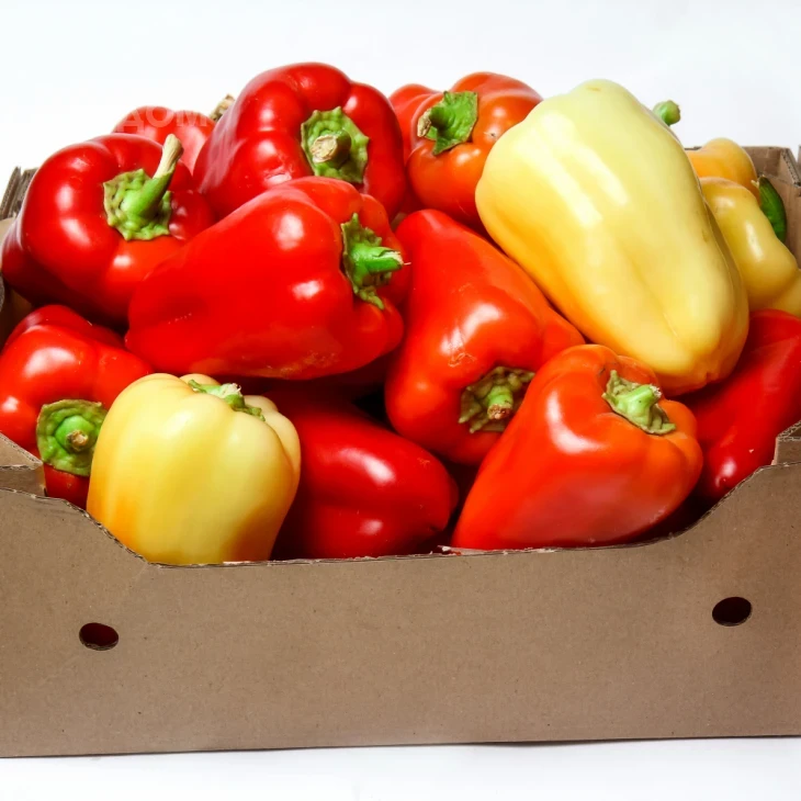 Боярд F1 / Boiyard F1,70-75 дней фото 2