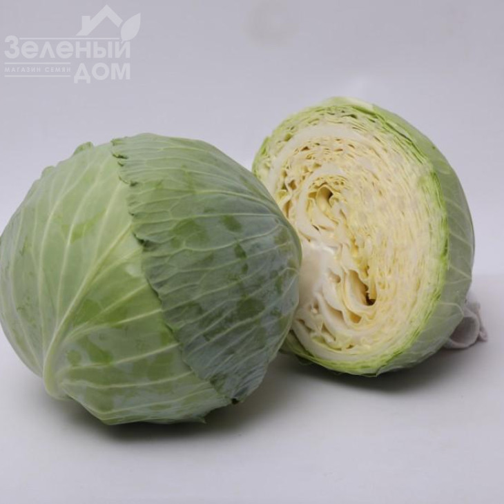 Віконт F1 / Vikont F1 фото 2