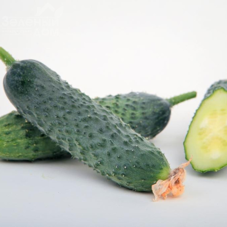 Джуніор F1 (LS 1906) / Junior F1 (LS 1906) фото 6