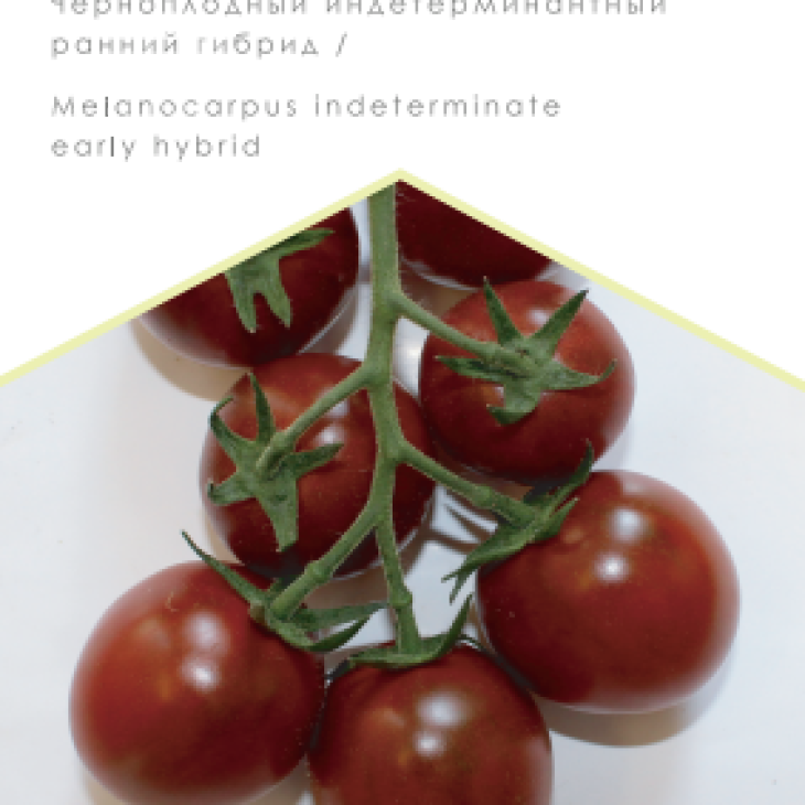 Чорні перли F1 / Chernyy zhemchug F1, 95-100 днів фото 1