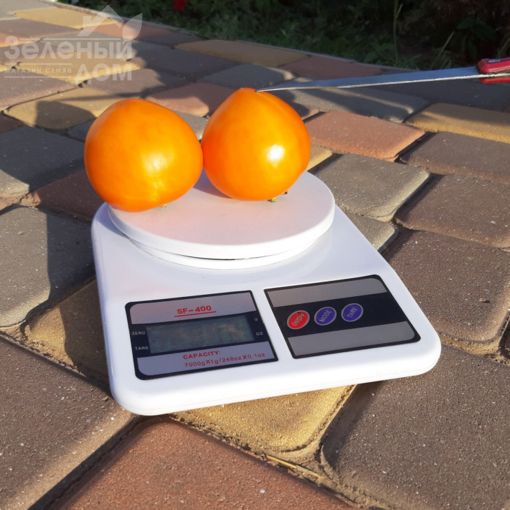 Рані F1 / Rani F1, 62-65 днів фото 3