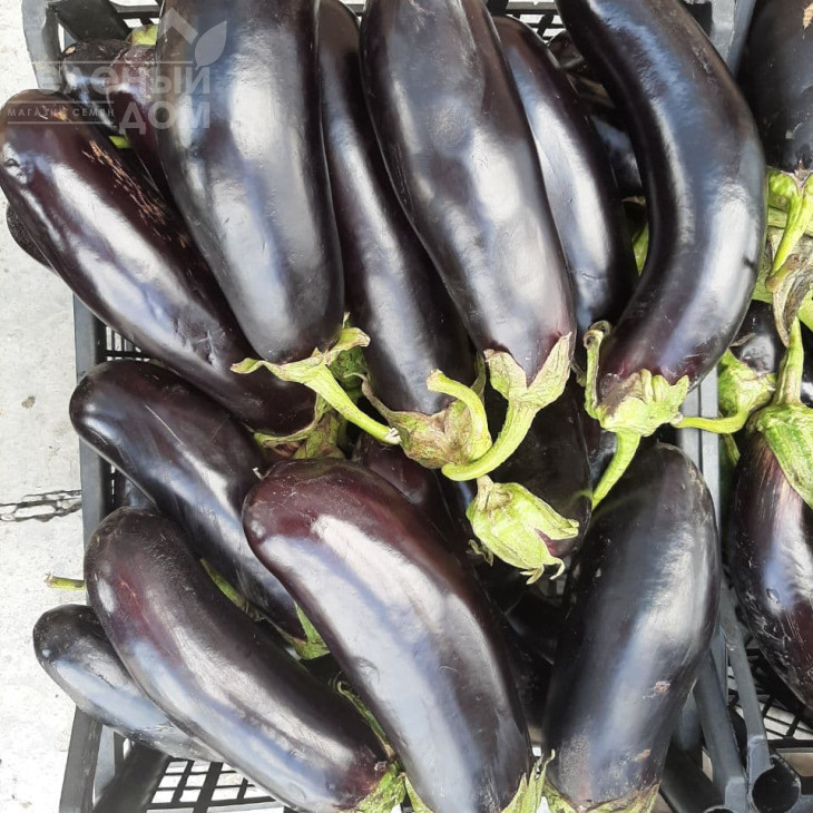 Кемер 27 / Kemer 27, 75 днів фото 1