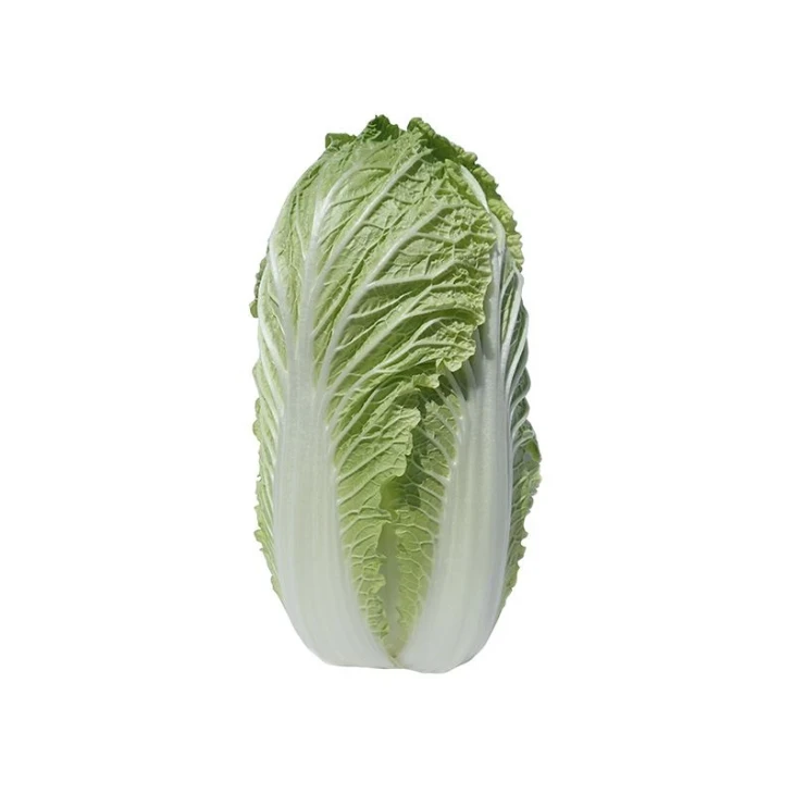 Генки F1 / Genki F1, 50-60 дней фото 3