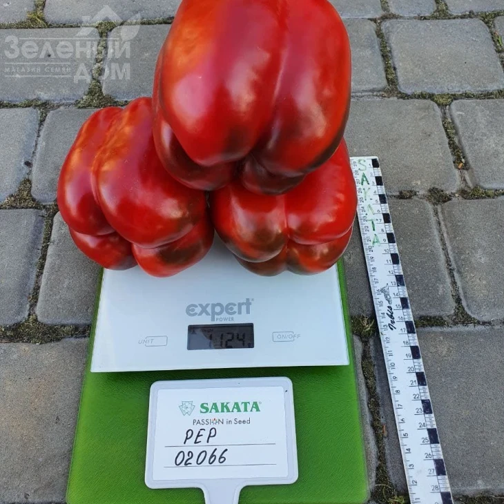 Халк F1 / Halk F1 фото 2