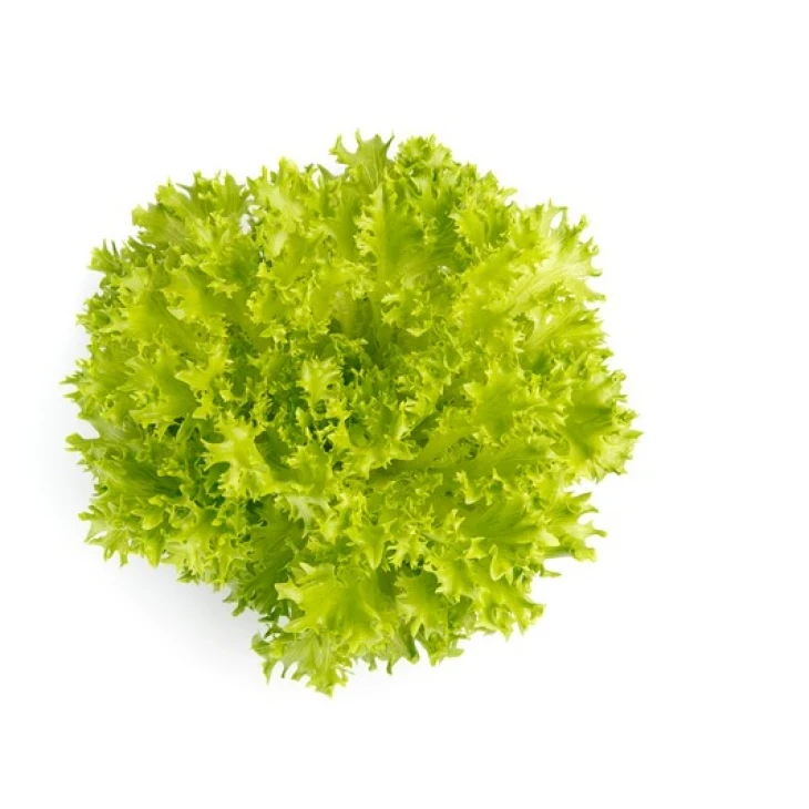 Экзэкт / Exact фото 1