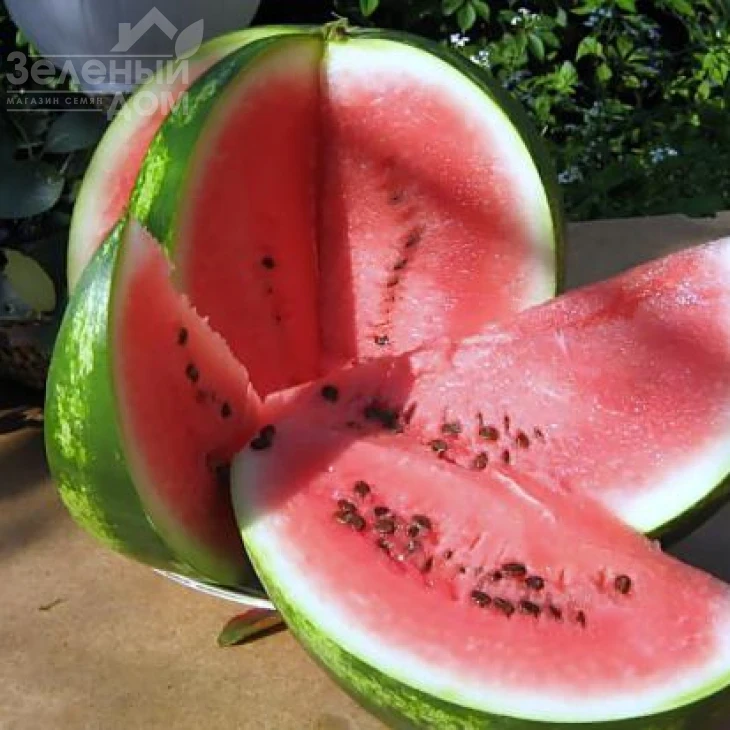 Крисби F1 / Crisby F1,58-62 дня фото 3