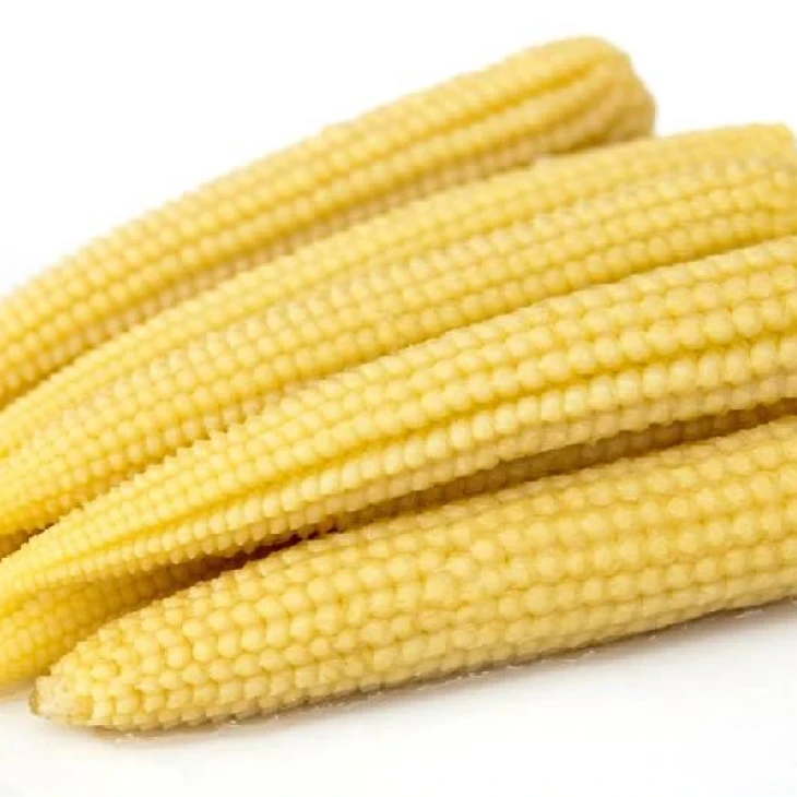 Миниголд / Minigold фото 1