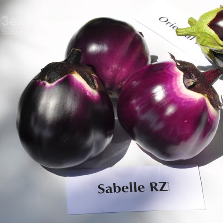 Сабелле F1 / Sabelle F1,68-72 дні фото 1