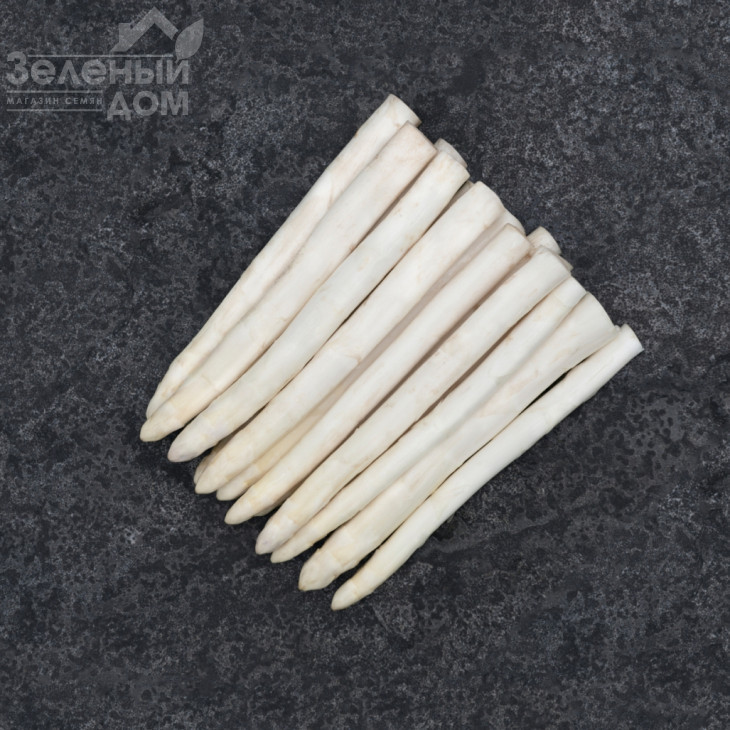 Пріус F1 / Prius F1 фото 2