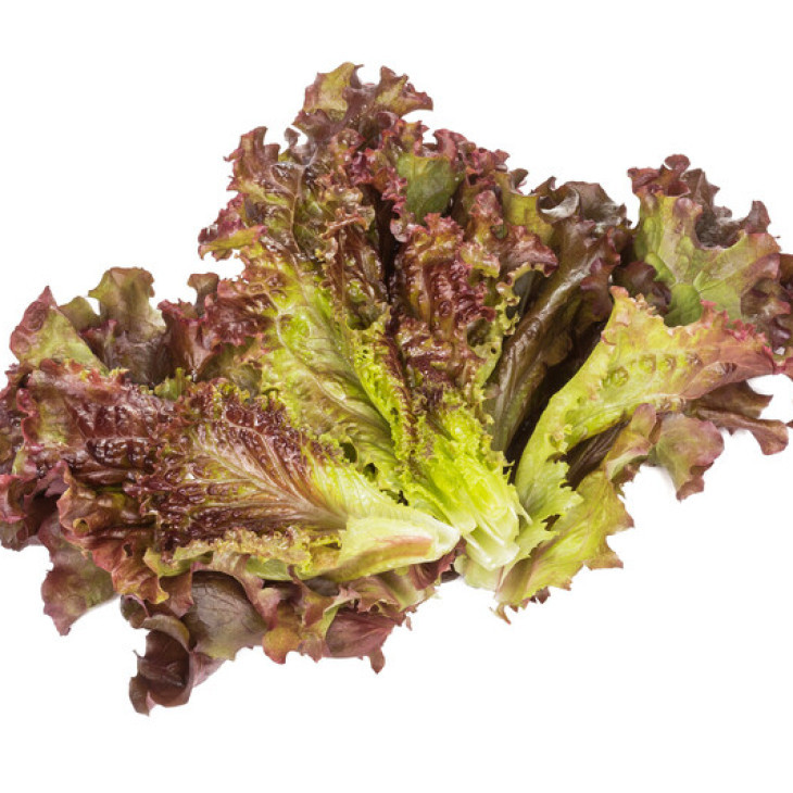 Орбітал / Orbital фото 1