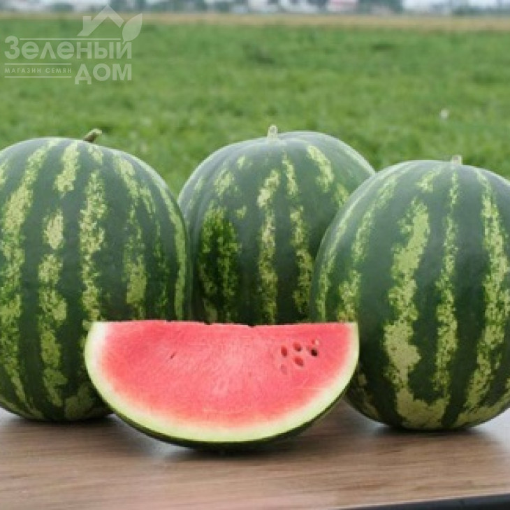 Крімстар F1 / Krimstar F1,52-55 днів фото 1