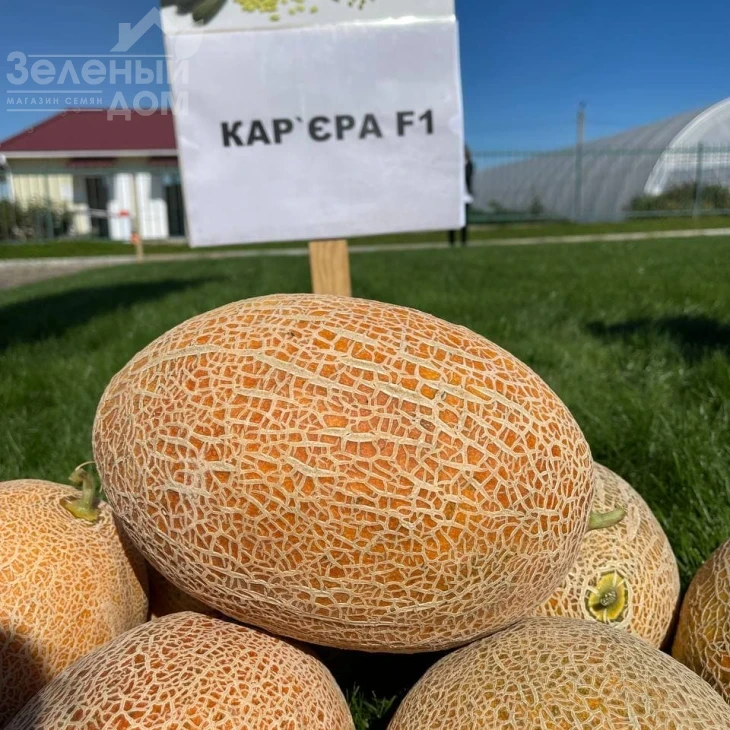Кар'єра F1 / Career F1 фото 1
