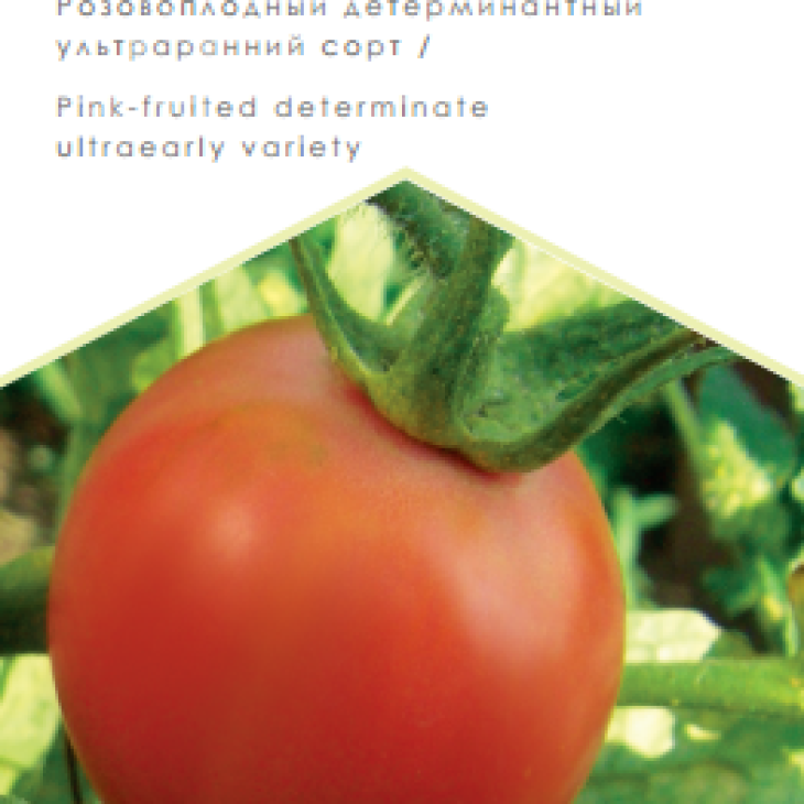 Ляна рожева / Lyana rozovaya фото 1