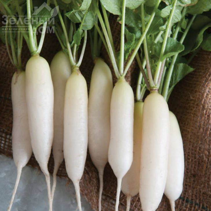 Рампоуч / Rampouch,30-35 днів фото 1