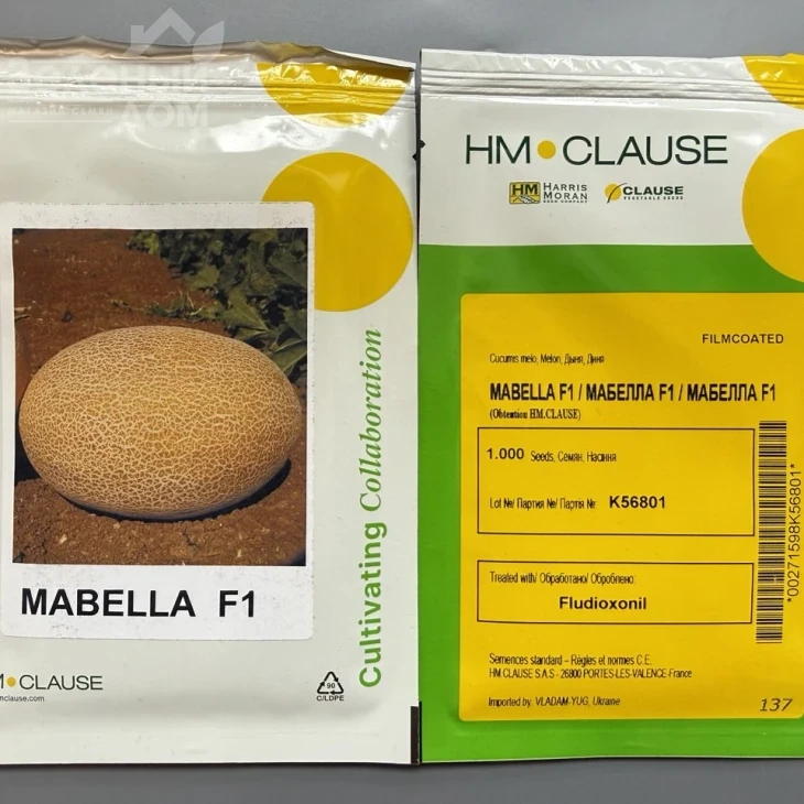 Мабелла F1 / Mabella F1,65-68 дней фото 4