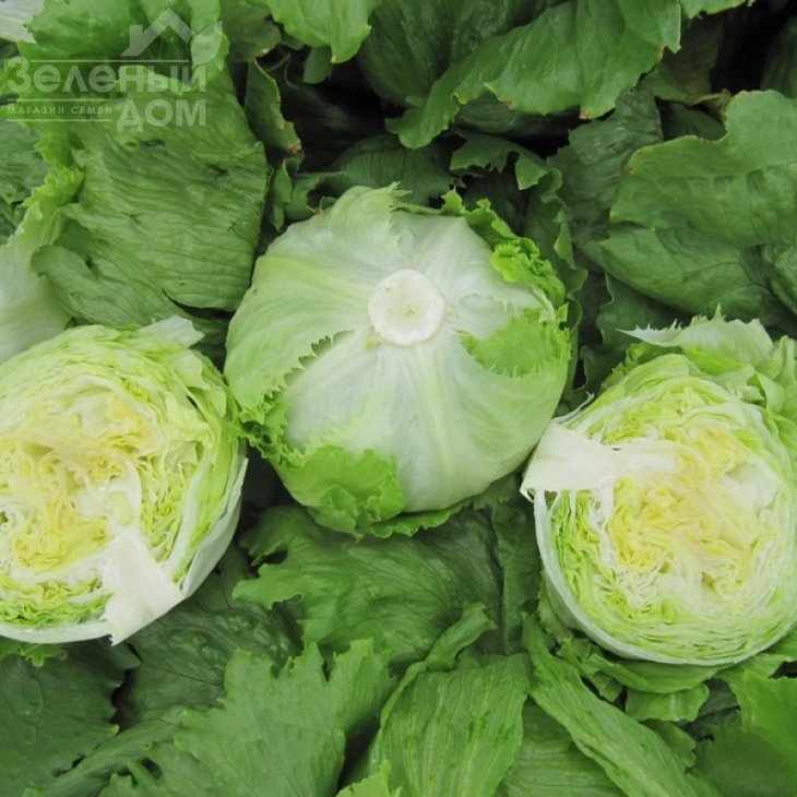 Даймонд / Daimond фото 1