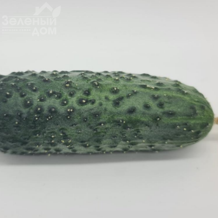 КС 45 F1 / KS 45 F1 фото 2