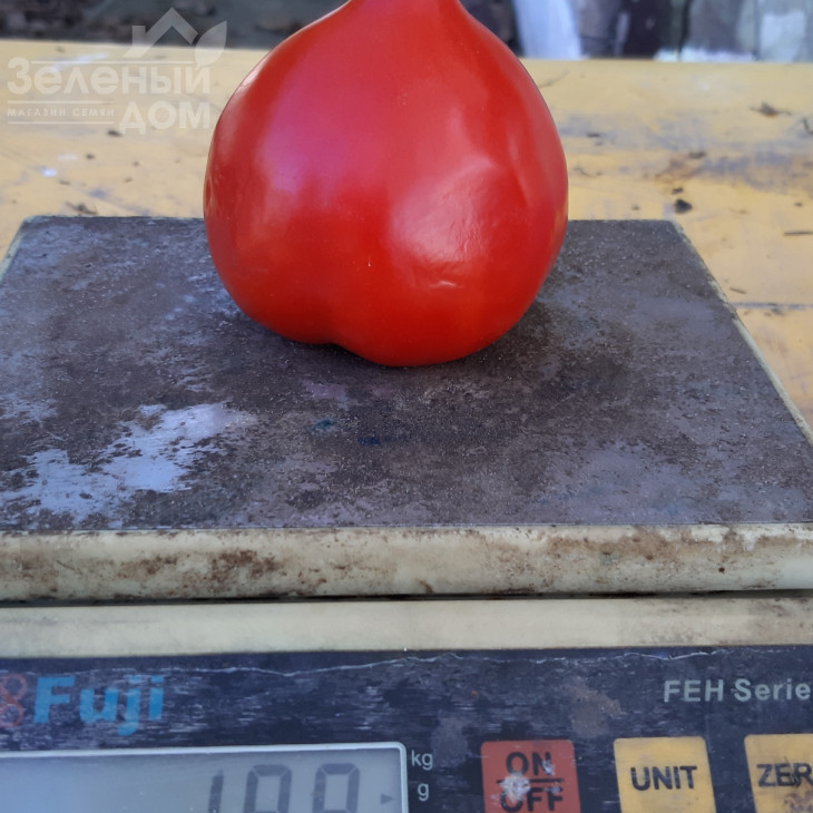 Лангранж F1 / Lagrange F1, 60-63 дні фото 3