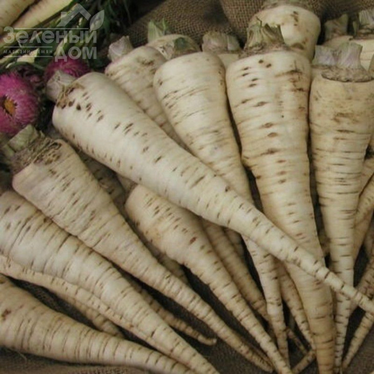 Орбіс / Orbis фото 1