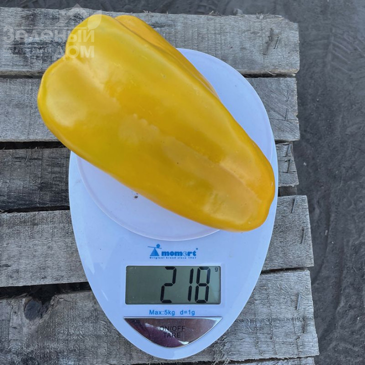 Санта F1 / Santa F1,60 днів фото 5