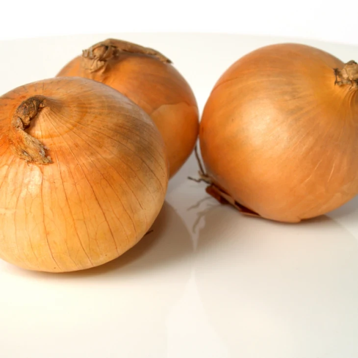 Глобо / Globo,150-160 дней фото 1